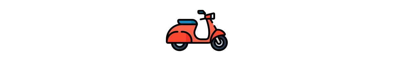 Mobilité