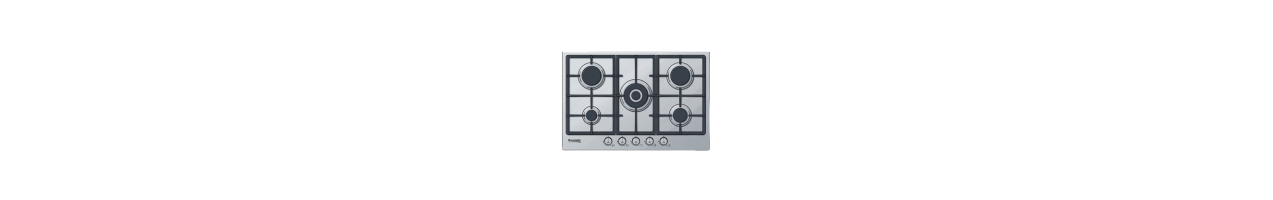Plaque de cuisson à gaz