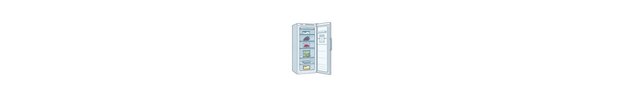 Congélateur armoire